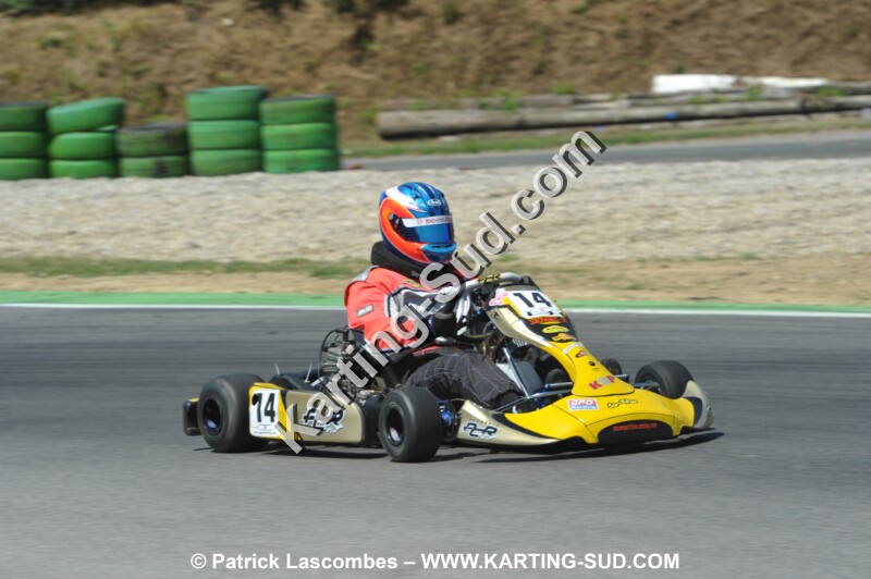 DSC_ (1897).JPG
